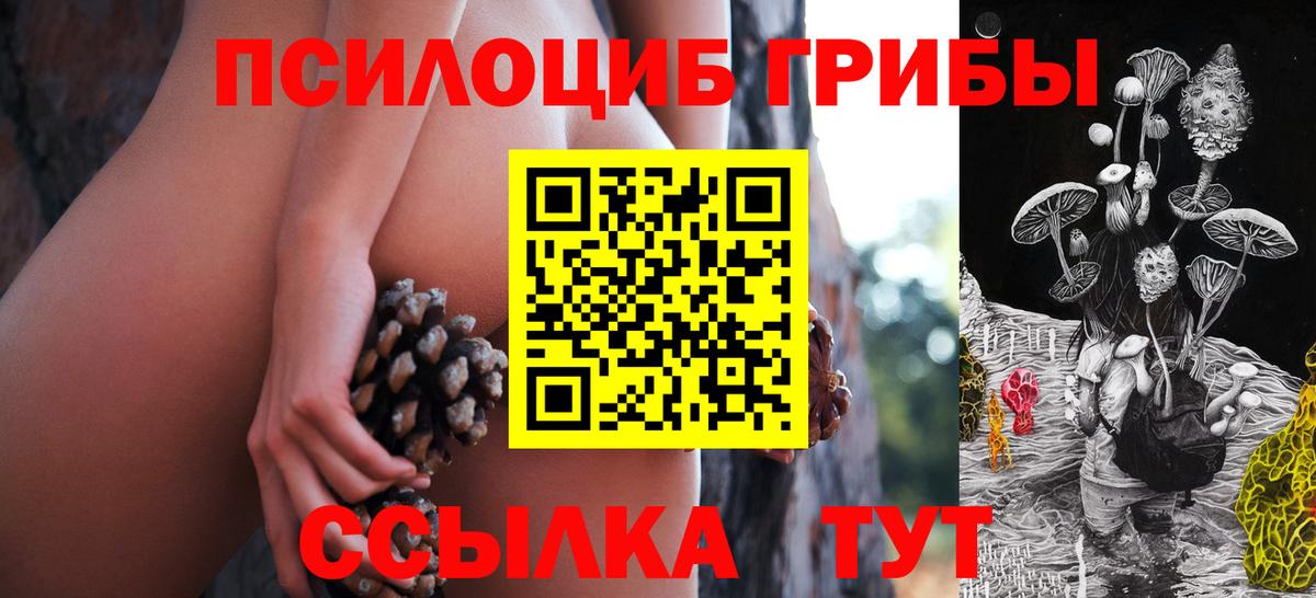 Лысьва  Галлюциногенные грибы Psilocybine cubensis  Вход с VPN 